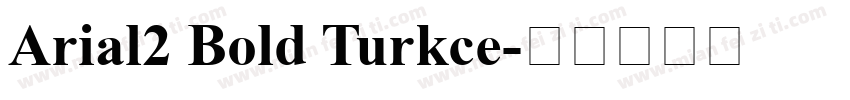 Arial2 Bold Turkce字体转换